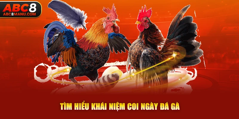 Tìm hiểu khái niệm coi ngày đá gà