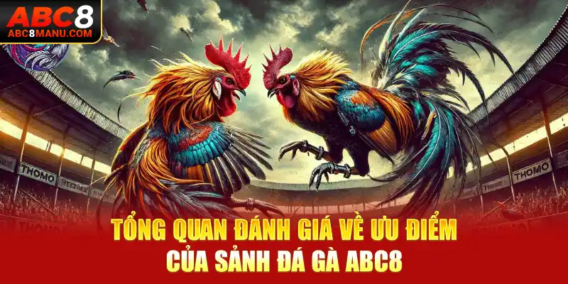 Tổng quan đánh giá về ưu điểm của sảnh đá gà ABC8