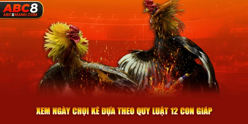 Xem ngày chọi kê dựa theo quy luật 12 con giáp