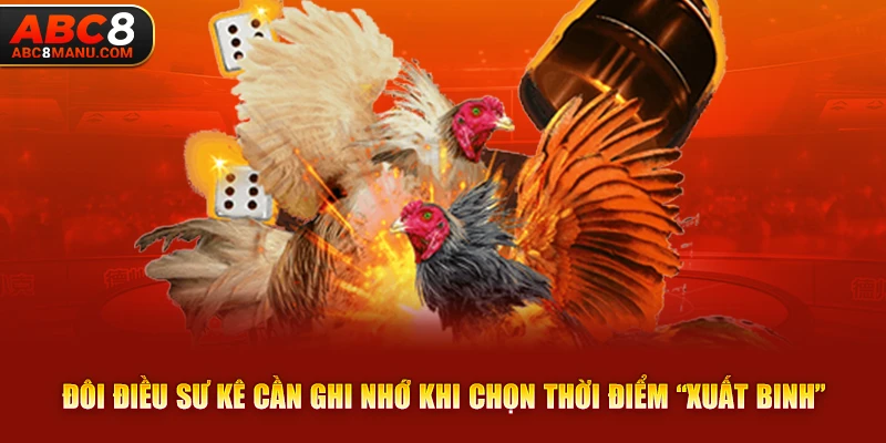 Đôi điều sư kê cần ghi nhớ khi chọn thời điểm “xuất binh”