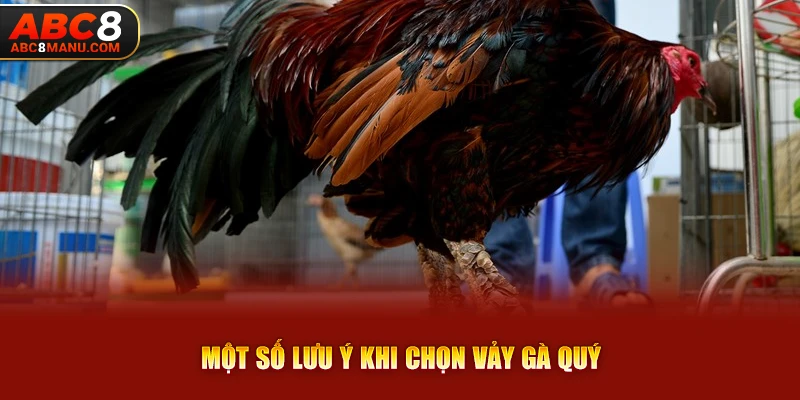 Một số lưu ý khi chọn vảy gà quý