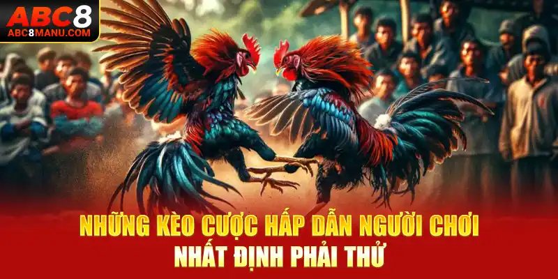 Những kèo cược hấp dẫn người chơi nhất định phải thử